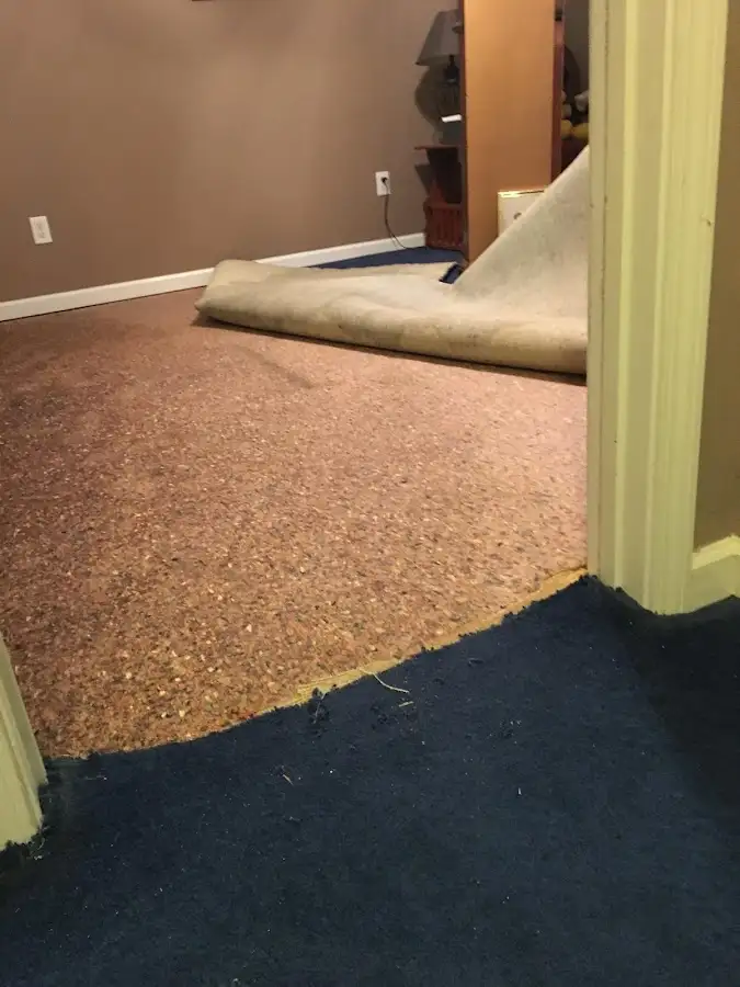 Carpet pad removal revealing water damage during Drying & Dehumidification in Severn